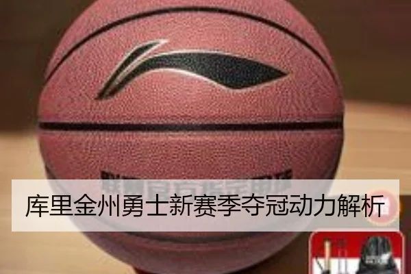 库里金州勇士新赛季夺冠动力解析